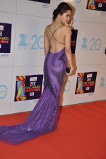 Shazahn Padamsee at Zee Awards red carpet in Mumbai on 6th Jan 2013 (187).JPG